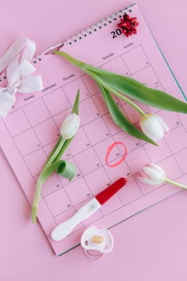 The Two Week Wait: Looking After Yourself Between Transfer and Test